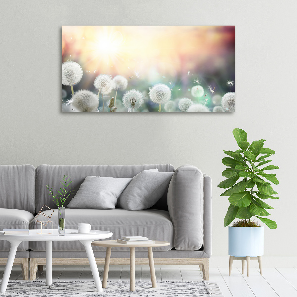Cuadro canvas moderno de gran formato horizontal Campo de dientes de león