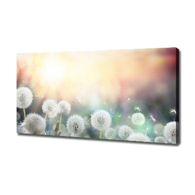 Cuadro canvas moderno de gran formato horizontal Campo de dientes de león
