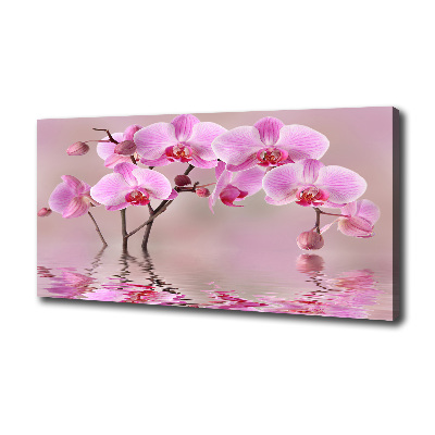 Fotocuadro en lienzo de alta calidad horizontal Orquídea rosa