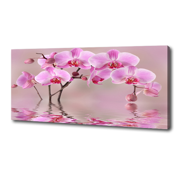 Fotocuadro en lienzo de alta calidad horizontal Orquídea rosa