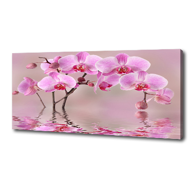 Fotocuadro en lienzo de alta calidad horizontal Orquídea rosa