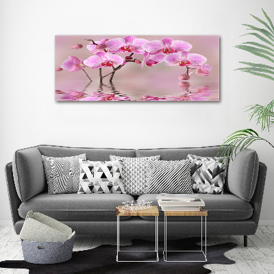 Fotocuadro en lienzo de alta calidad horizontal Orquídea rosa