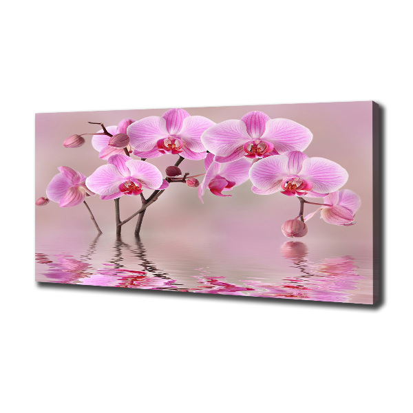 Fotocuadro en lienzo de alta calidad horizontal Orquídea rosa