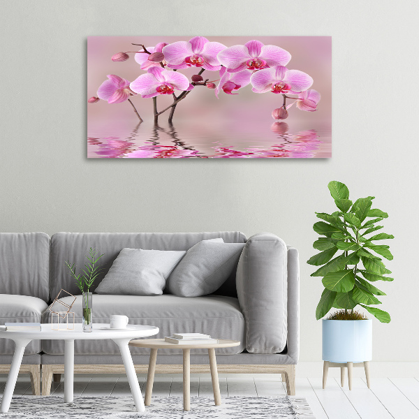 Fotocuadro en lienzo de alta calidad horizontal Orquídea rosa