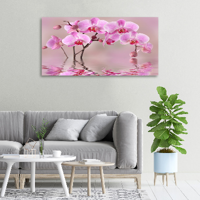 Fotocuadro en lienzo de alta calidad horizontal Orquídea rosa