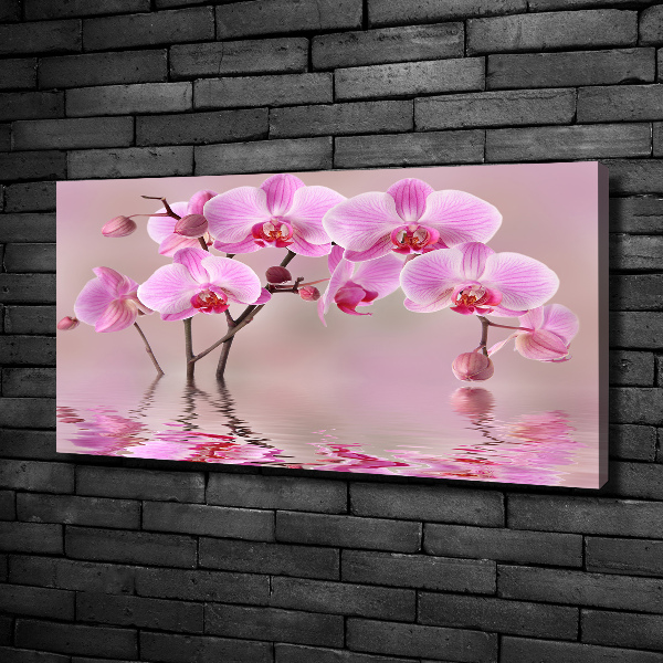 Fotocuadro en lienzo de alta calidad horizontal Orquídea rosa