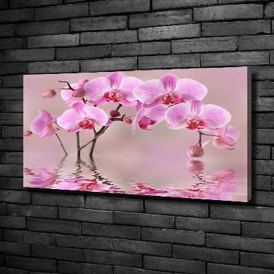 Fotocuadro en lienzo de alta calidad horizontal Orquídea rosa