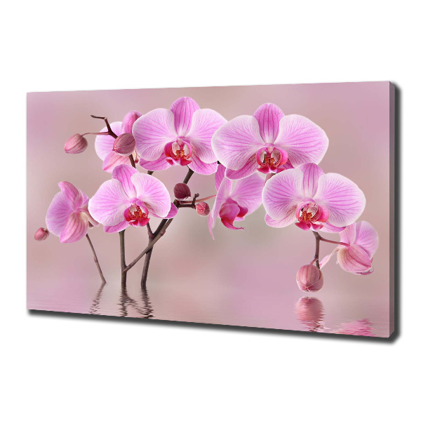 Fotocuadro en lienzo de alta calidad horizontal Orquídea rosa