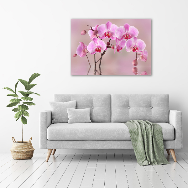 Fotocuadro en lienzo de alta calidad horizontal Orquídea rosa