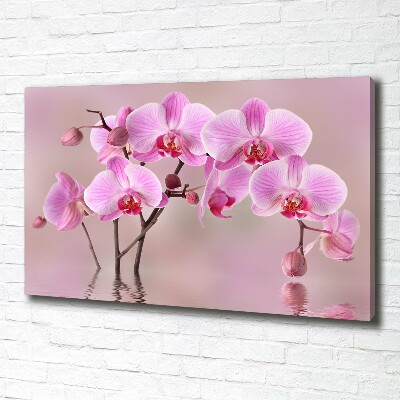 Fotocuadro en lienzo de alta calidad horizontal Orquídea rosa