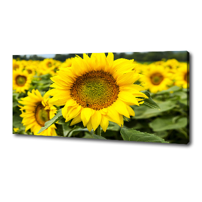 Cuadro canvas con impresión uv duradera horizontal Un campo de girasoles