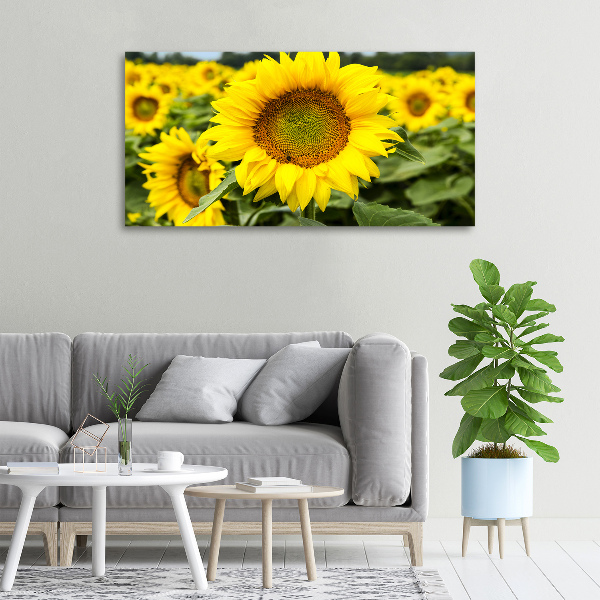 Cuadro canvas con impresión uv duradera horizontal Un campo de girasoles