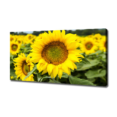 Cuadro canvas con impresión uv duradera horizontal Un campo de girasoles