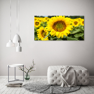 Cuadro canvas con impresión uv duradera horizontal Un campo de girasoles
