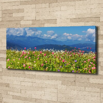 Fotocuadro en lienzo de alta calidad horizontal Pradera en las montañas