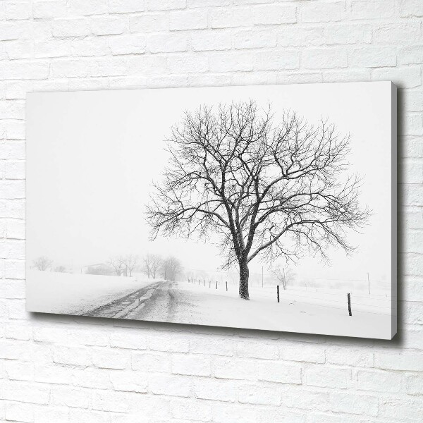 Cuadro canvas con impresión uv duradera horizontal Árbol en invierno