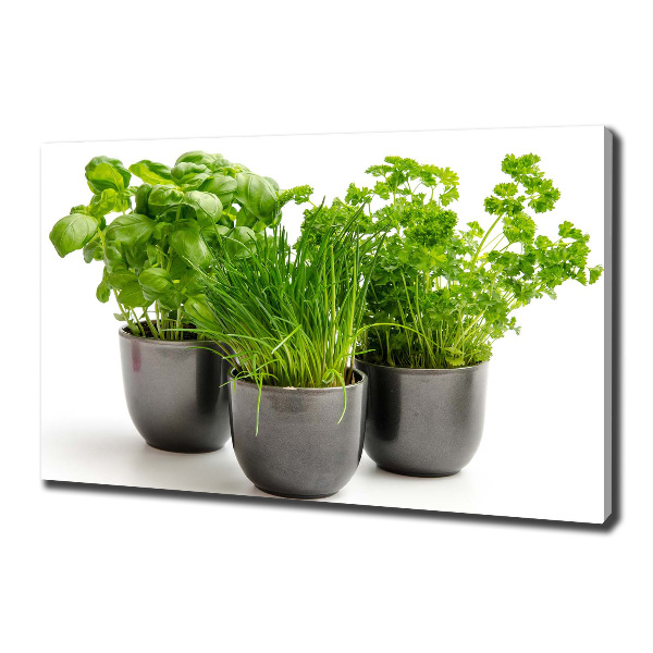 Cuadro canvas con impresión uv duradera horizontal Hierbas en macetas