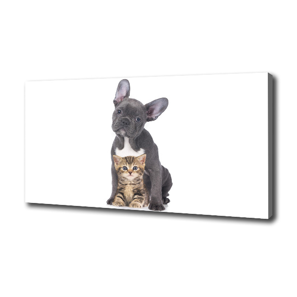 Fotocuadro en lienzo de alta calidad horizontal Perro y gato
