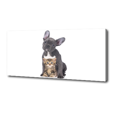 Fotocuadro en lienzo de alta calidad horizontal Perro y gato