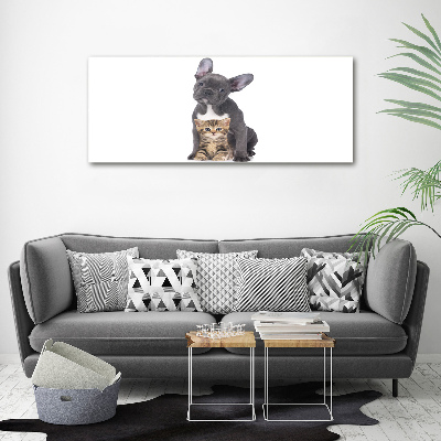 Fotocuadro en lienzo de alta calidad horizontal Perro y gato