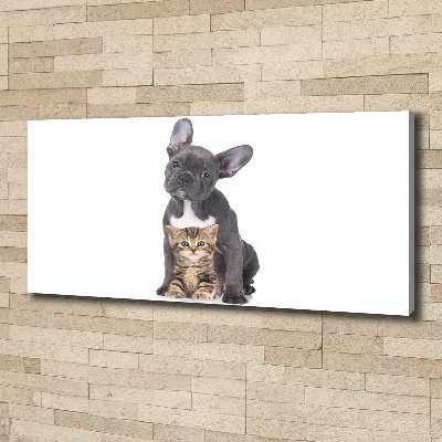 Fotocuadro en lienzo de alta calidad horizontal Perro y gato