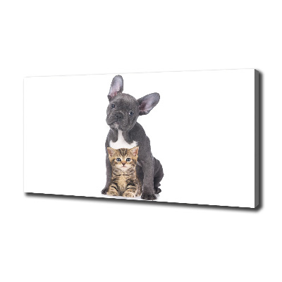 Fotocuadro en lienzo de alta calidad horizontal Perro y gato