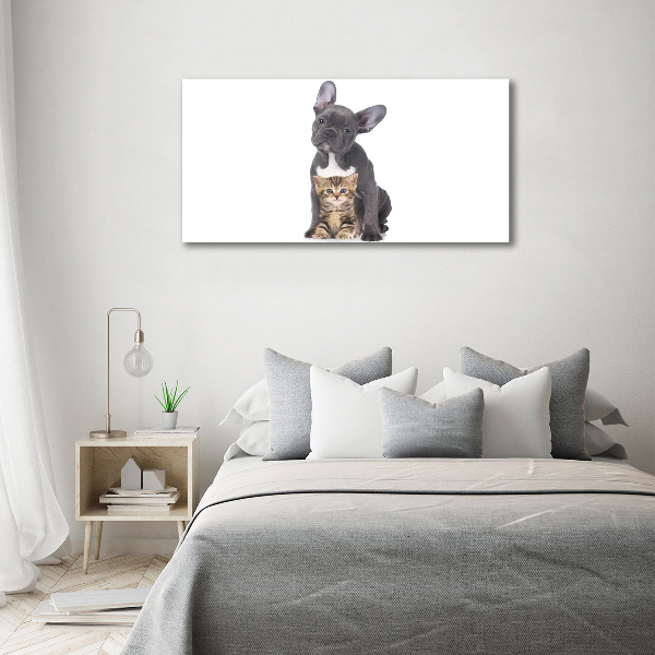 Fotocuadro en lienzo de alta calidad horizontal Perro y gato