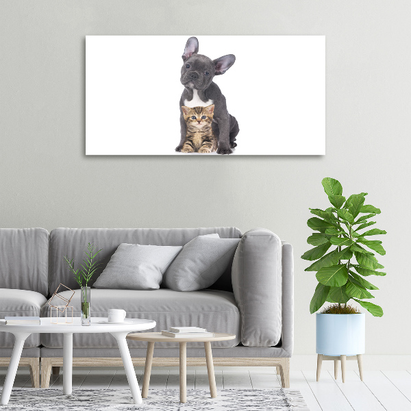 Fotocuadro en lienzo de alta calidad horizontal Perro y gato