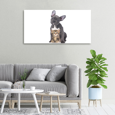 Fotocuadro en lienzo de alta calidad horizontal Perro y gato