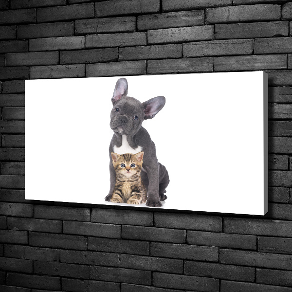 Fotocuadro en lienzo de alta calidad horizontal Perro y gato