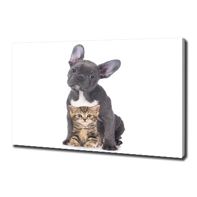 Fotocuadro en lienzo de alta calidad horizontal Perro y gato