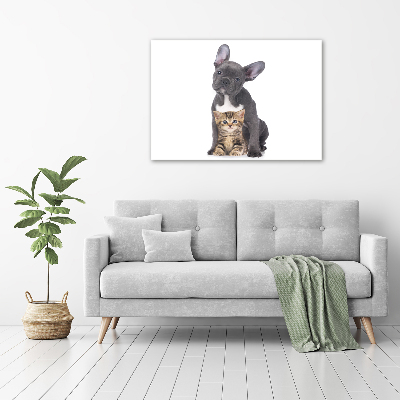Fotocuadro en lienzo de alta calidad horizontal Perro y gato