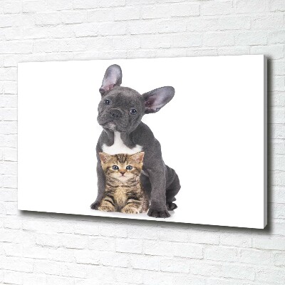 Fotocuadro en lienzo de alta calidad horizontal Perro y gato