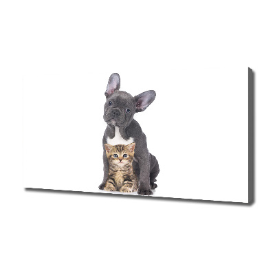 Fotocuadro en lienzo de alta calidad horizontal Perro y gato
