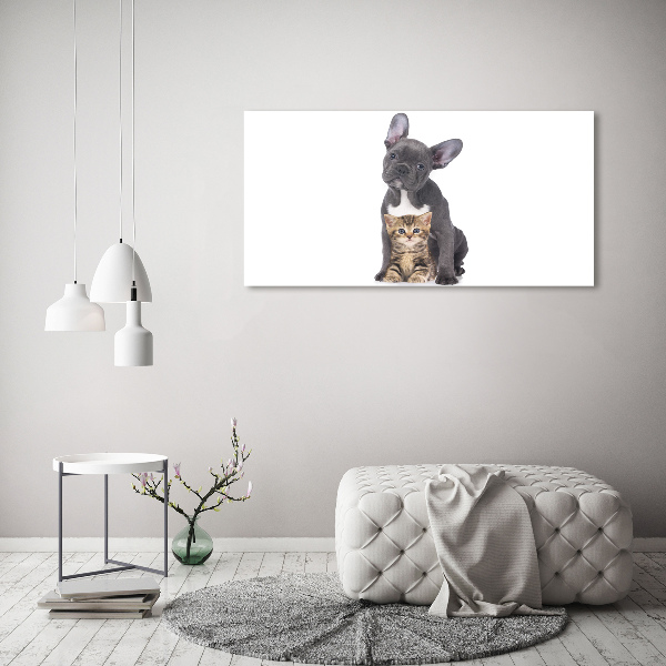 Fotocuadro en lienzo de alta calidad horizontal Perro y gato