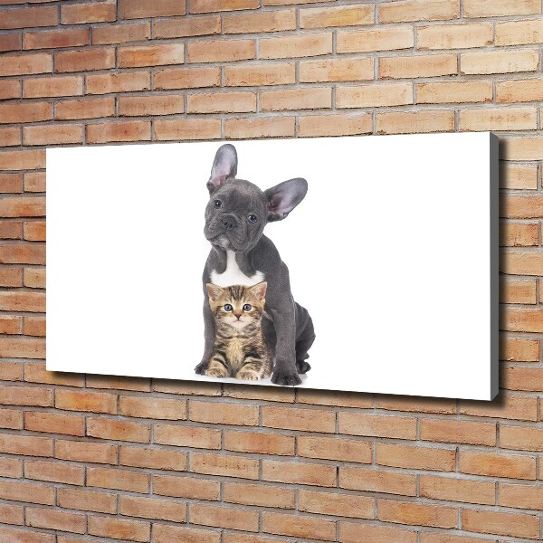 Fotocuadro en lienzo de alta calidad horizontal Perro y gato