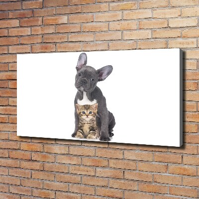 Fotocuadro en lienzo de alta calidad horizontal Perro y gato