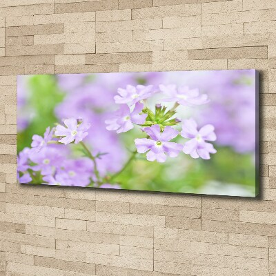 Cuadro canvas moderno de gran formato horizontal Verbena