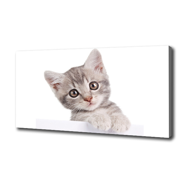 Cuadro canvas con impresión uv duradera horizontal gato gris