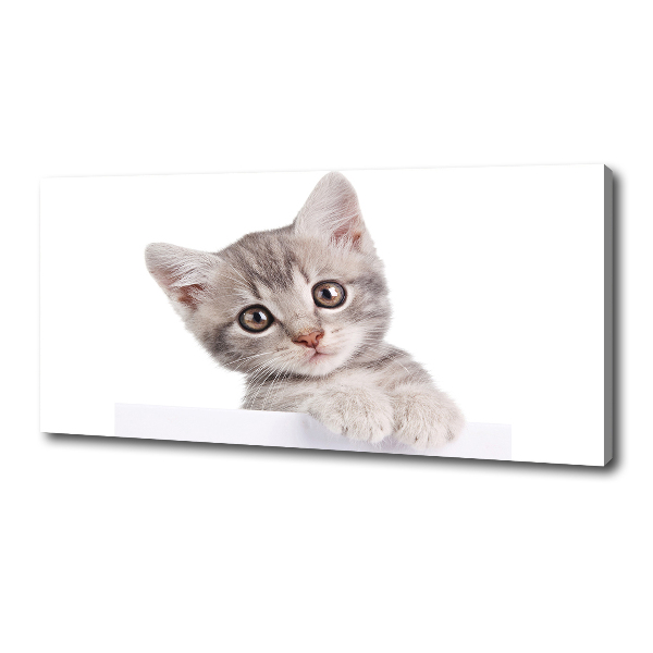 Cuadro canvas con impresión uv duradera horizontal gato gris