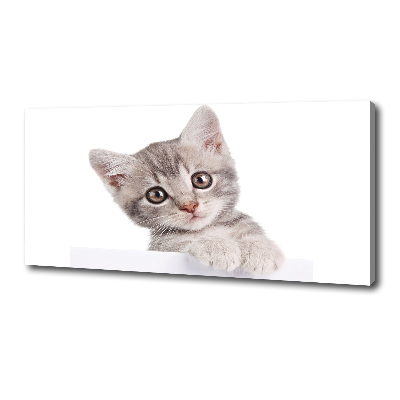 Cuadro canvas con impresión uv duradera horizontal gato gris