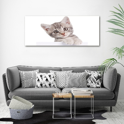 Cuadro canvas con impresión uv duradera horizontal gato gris