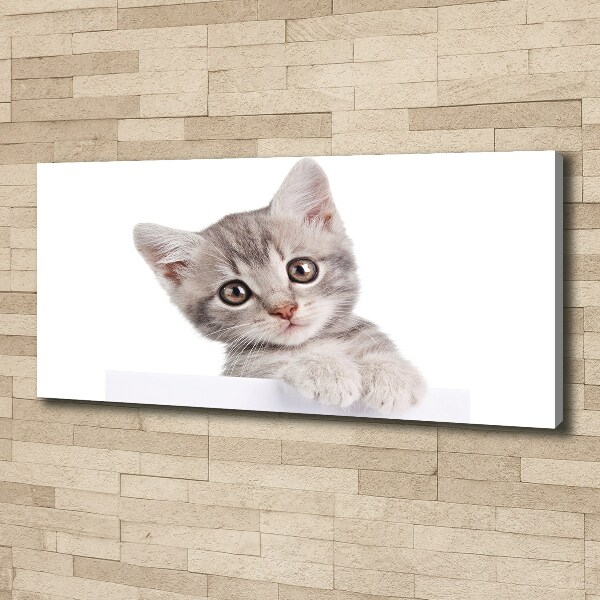 Cuadro canvas con impresión uv duradera horizontal gato gris