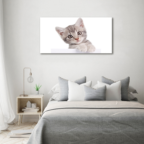 Cuadro canvas con impresión uv duradera horizontal gato gris