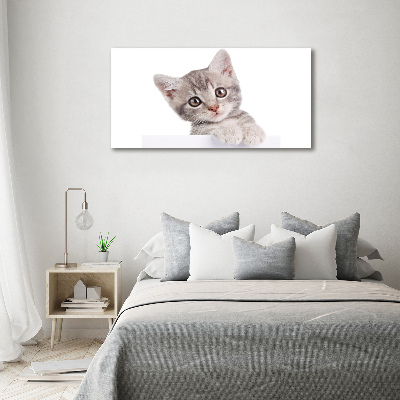 Cuadro canvas con impresión uv duradera horizontal gato gris