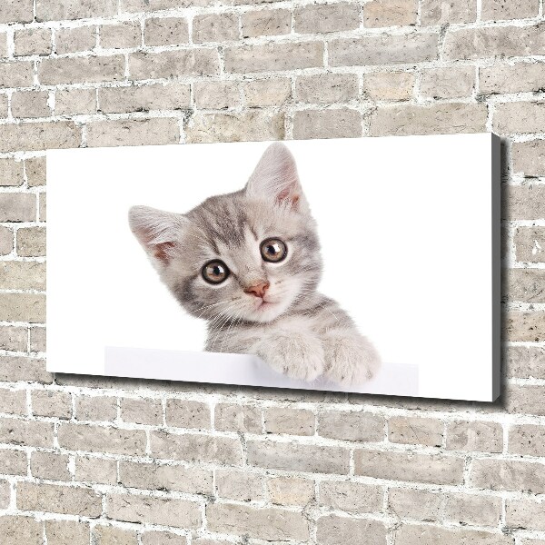Cuadro canvas con impresión uv duradera horizontal gato gris
