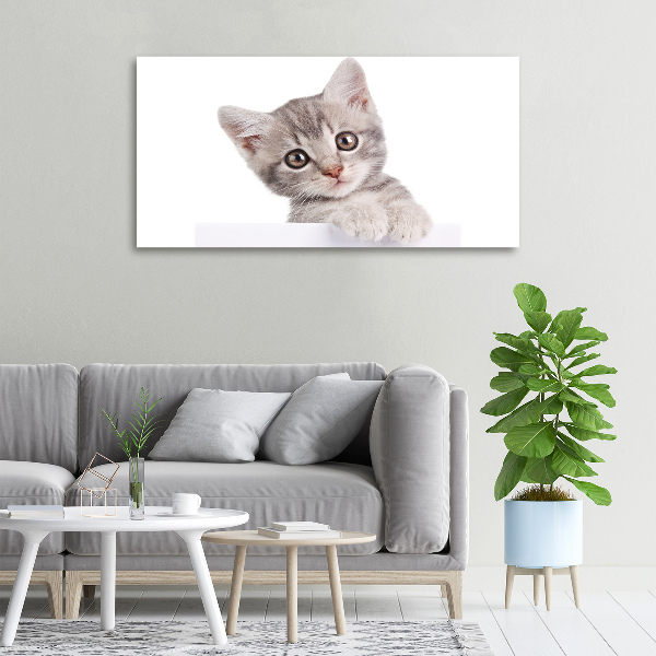Cuadro canvas con impresión uv duradera horizontal gato gris