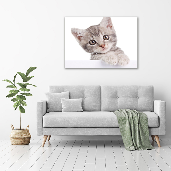 Cuadro canvas con impresión uv duradera horizontal gato gris