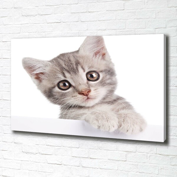 Cuadro canvas con impresión uv duradera horizontal gato gris