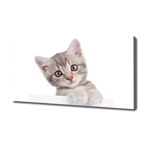Cuadro canvas con impresión uv duradera horizontal gato gris